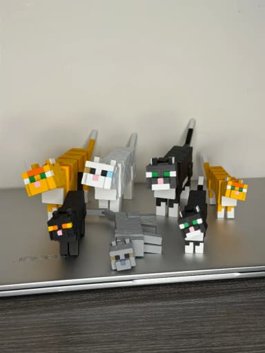 Mèo Đen Minecraft 2